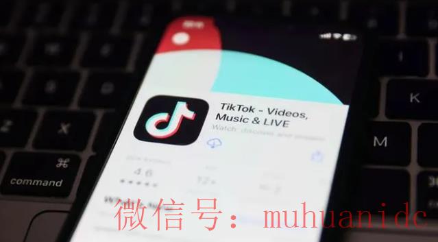 tiktok账号购买平台