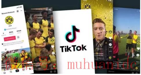 tiktok账号购买平台