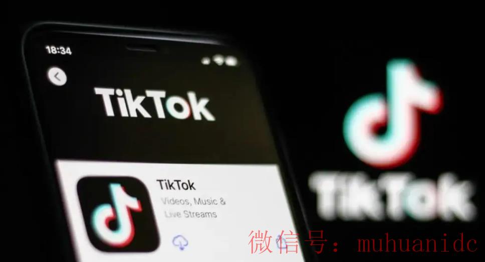 tiktok账号购买平台