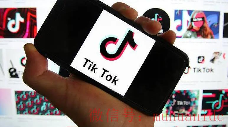 tiktok账号购买平台