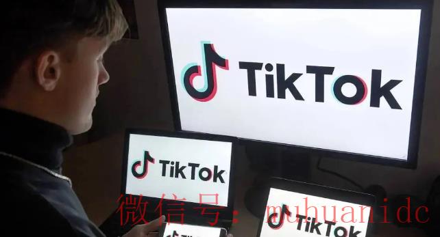 tiktok账号购买平台