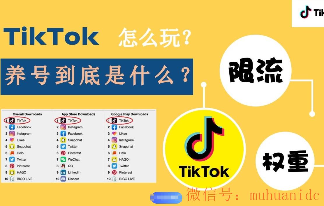tiktok账号购买平台