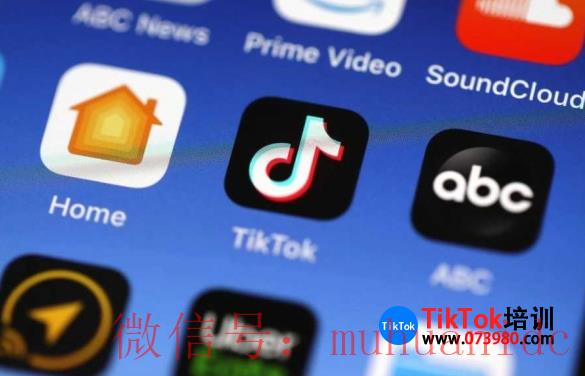 tiktok账号购买平台