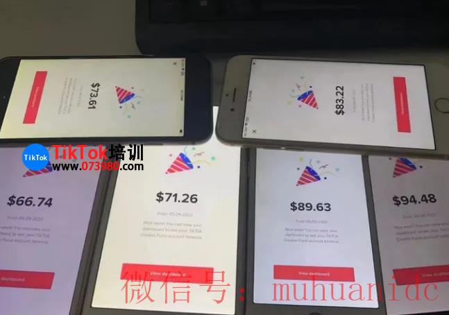 tiktok账号购买平台