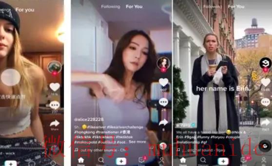 tiktok账号购买平台