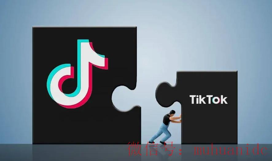 tiktok账号购买平台