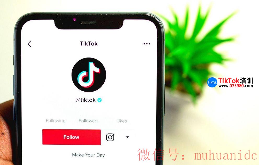 tiktok账号购买平台