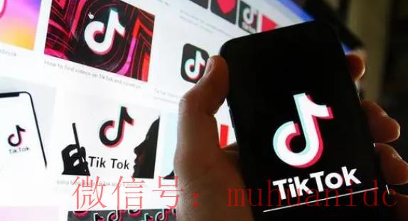 tiktok账号购买平台