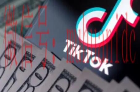 tiktok账号购买平台