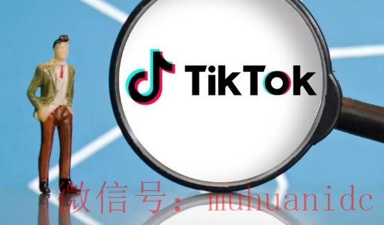 tiktok账号购买平台