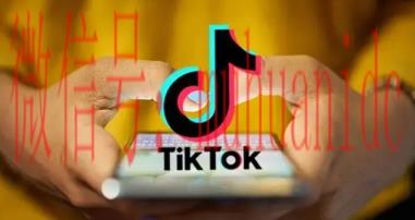 tiktok账号购买平台
