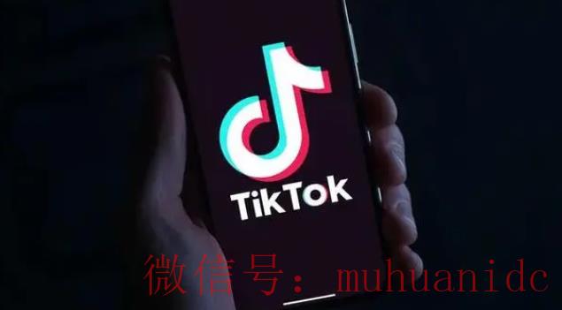 tiktok账号购买平台