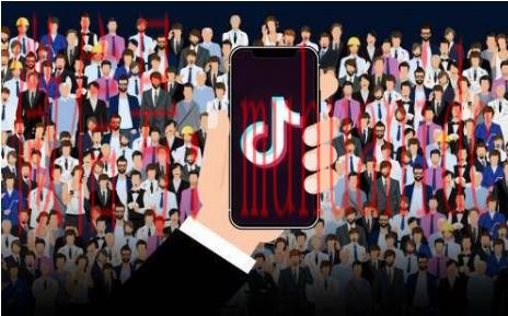 tiktok账号购买平台