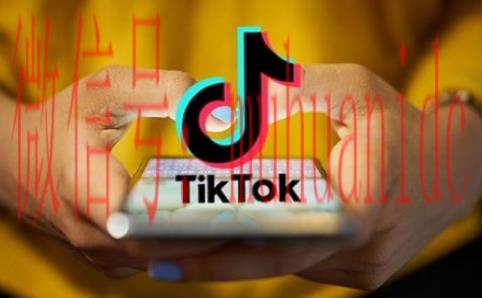 tiktok账号购买平台