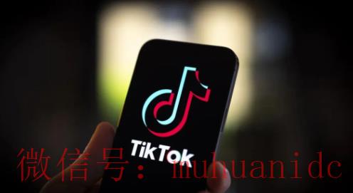 tiktok账号购买平台