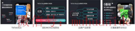 tiktok账号购买平台