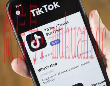 tiktok账号购买平台