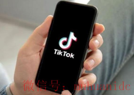 tiktok账号购买平台