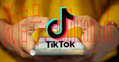tiktok账号购买平台