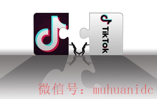 tiktok账号购买平台
