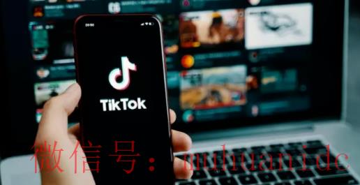 tiktok账号购买平台