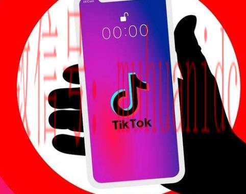 tiktok账号购买平台