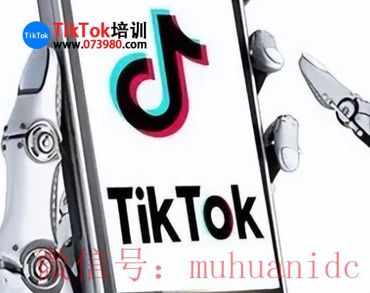 tiktok账号购买平台
