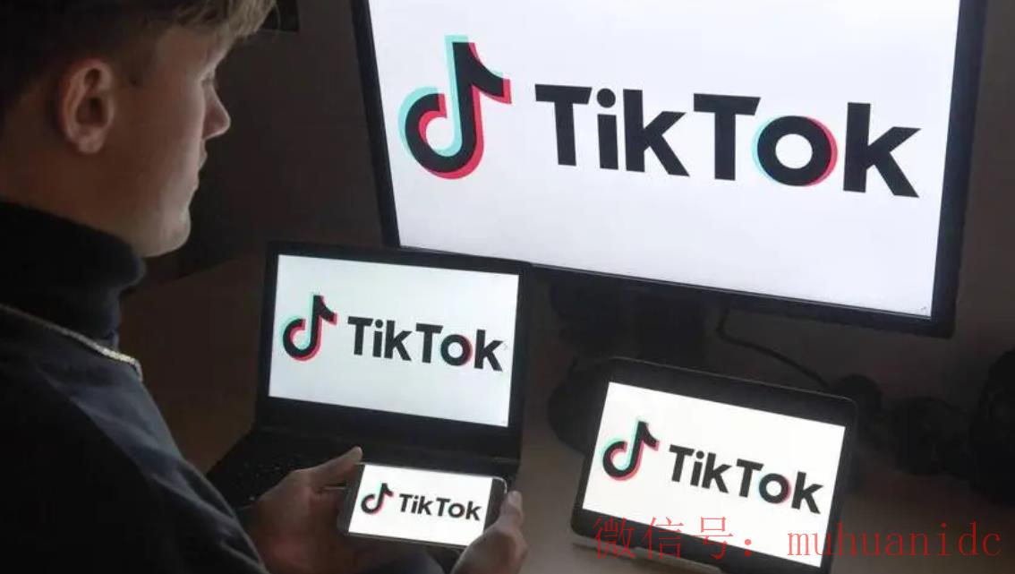 tiktok账号购买平台