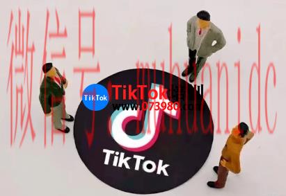 tiktok账号购买平台