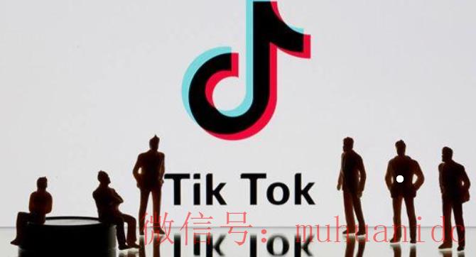 tiktok账号购买平台