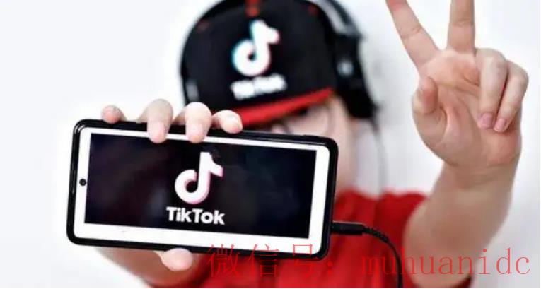 tiktok账号购买平台