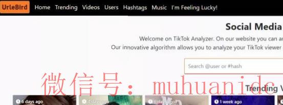 tiktok账号购买平台