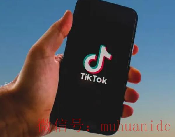 tiktok账号购买平台