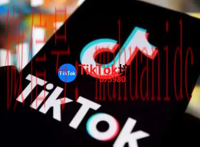 tiktok账号购买平台