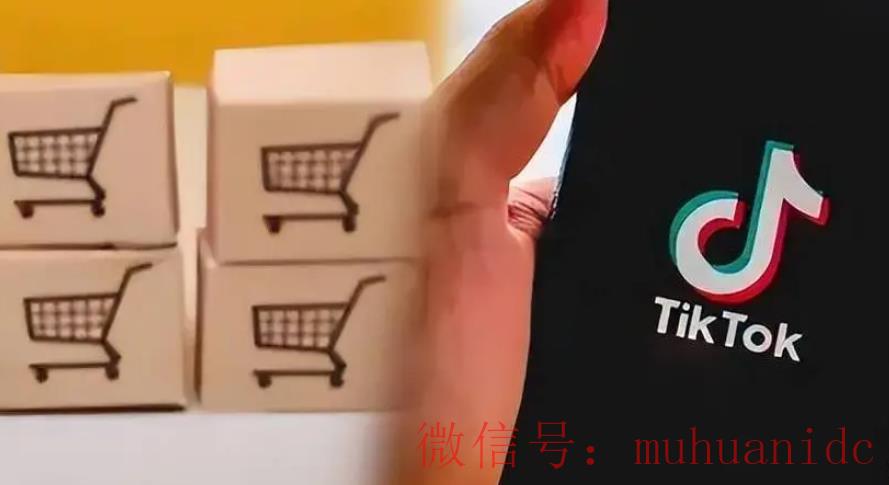 tiktok账号购买平台