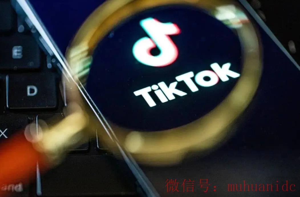 tiktok账号购买平台