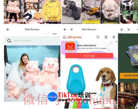 tiktok账号购买平台