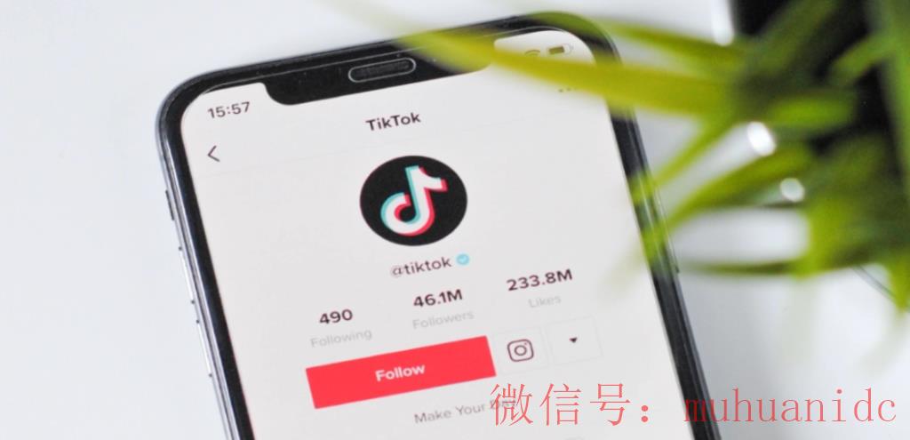 tiktok账号购买平台