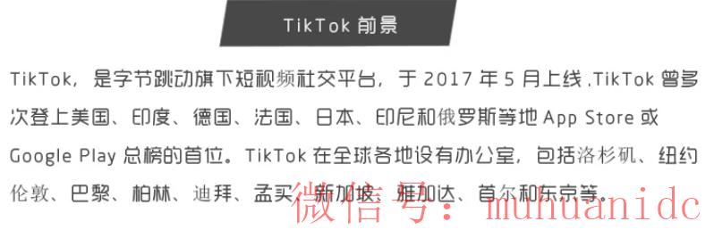 tiktok账号购买平台