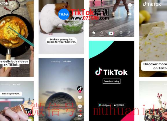 tiktok账号购买平台