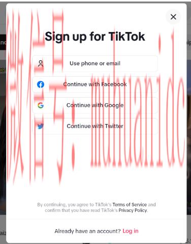 tiktok账号购买平台