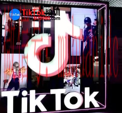 tiktok账号购买平台