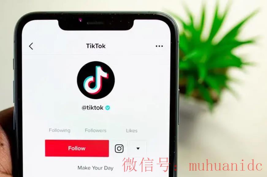 tiktok账号购买平台