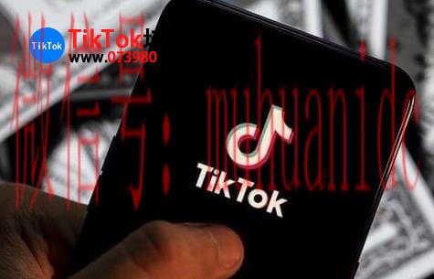tiktok账号购买平台