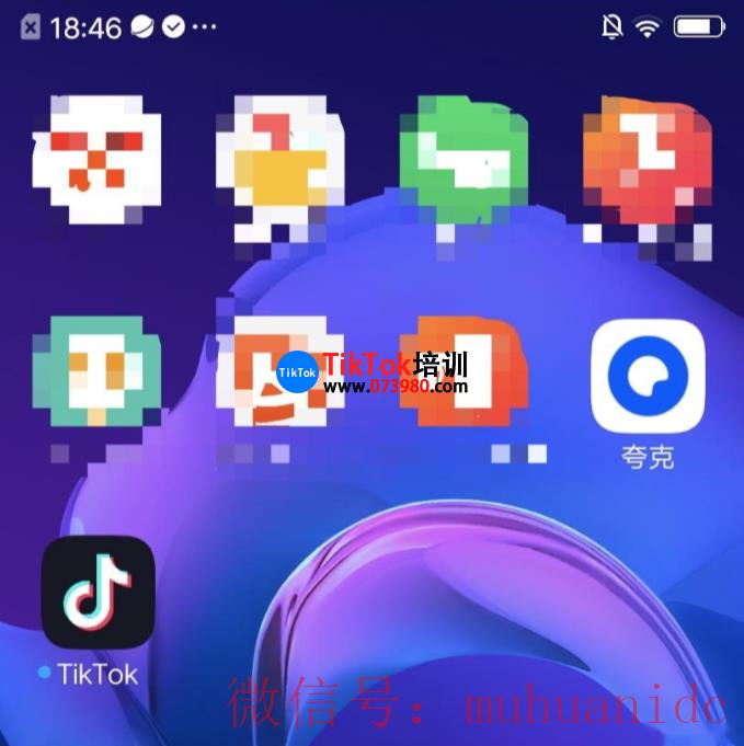 tiktok账号购买平台