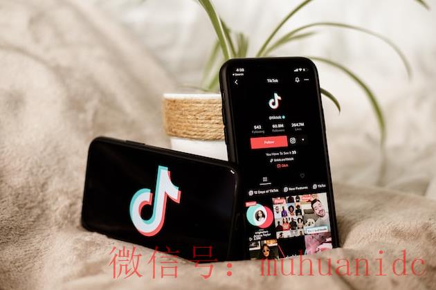 tiktok账号购买平台