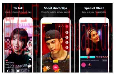 tiktok账号购买平台