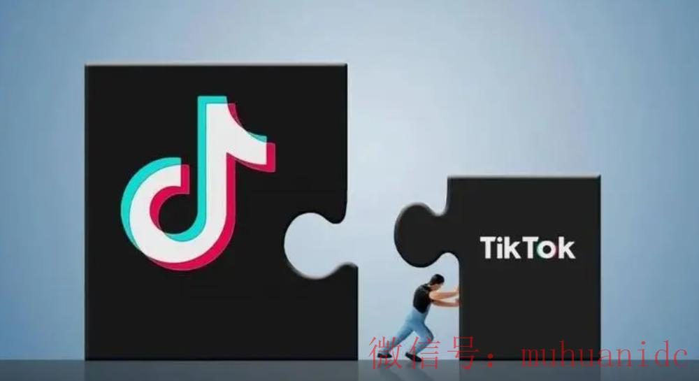 tiktok账号购买平台