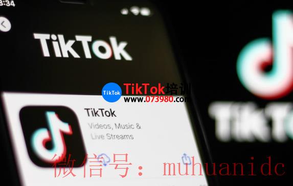 tiktok账号购买平台