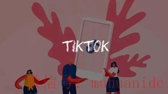 tiktok账号购买平台